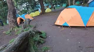 Kilimanjaro Forest camp with Uprise Africa Tours. what to expect