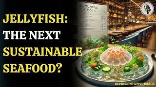 Jellyfish: The Future of Sustainable Seafood? | WION Podcast