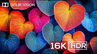 Special Dolby Vision 4k HDR 60FPS - (4K Video ULTRA HD)