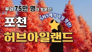 현재 가장 핫한 축제! 포천 허브아일랜드 - The hottest festival right now! Pocheon Herb Island