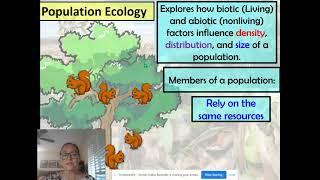 What is a Population in Ecology?