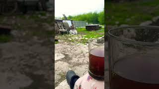 #жизньздесьисейчас #утровдеревне