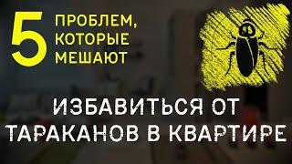 ТАРАКАНЫ В КВАРТИРЕ СНОВА И СНОВА — ПОЧЕМУ?