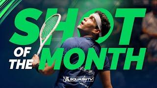 Squash Shot of the Month  - October 2024 