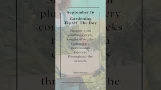  Stagger Planting for Continuous Harvest! 