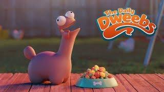 The Daily Dweebs - 8K UHD Stereoscopic 3D