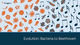 Evolution: Bacteria to Beethoven | 5 Minute Video