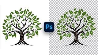 How to Remove White Background and make it Transparent in Photoshop