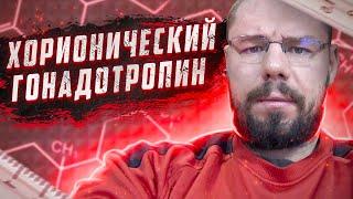 Хорионический Гонадотропин на сколько повышает тестостерон, как и когда колоть и сколько