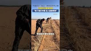 见证中国奇迹，用几十年的时间改变上万年形成的沙漠面貌#塔克拉玛干沙漠合拢#绿化#人定胜天