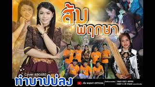 ทำบาปบ่ลง - ส้ม พฤกษา l Cover แสดงสด