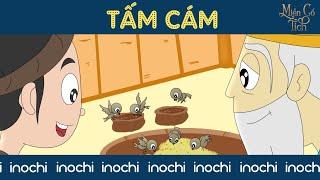 Miền Cổ Tích - Tấm Cám