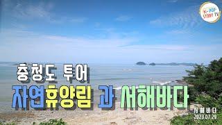 서해바다와 해수욕장 그리고 자연휴양림 풍경영상(케이팝스토리TV)