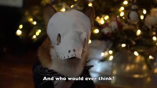 Jack Skellington Corgi Cosplay (Stumpy Brigade Corgmas)