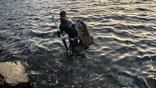 Pesca submarina en Tenerife XXL️