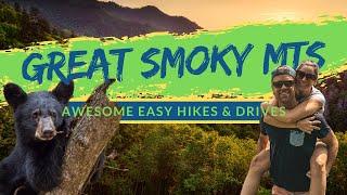 EPIC EASY DAY HIKES IN GREAT SMOKY MOUNTAINS | The 7 best adventures that anyone can do