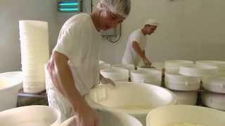 Brie De Meaux, Brie de Melun, Chaource France. Preview of Cheese Slices with Will Studd Season 4