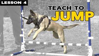 Teach Your Puppy to JUMP - Dog Obedience