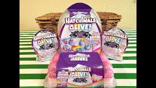 Unboxing Hatchimals Alive Rainbow Splash!