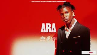 Seyi Vibez x  Asake X Shallipopi Amapiano Type Beat - 'ARA'[ Amapiano Type Beat 2025]