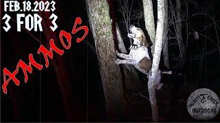 Coon Hunting With BIG AMMOS!!!