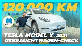 Tesla Model Y Gebrauchtwagentest: 120.000 km im Elektro-SUV