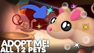 ALL 12 DESERT EGG Pets In Adopt Me!  New Egg