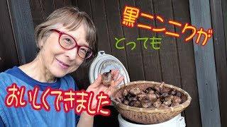 簡単、黒ニンニクの作り方！とっても美味しくできました