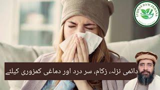 Nazla Zukam ka Ilaj | دائمی نزلہ زکام سر درد کا علاج| Hakeem Zia ur Rehman