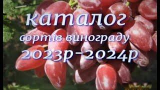 Каталог саженців винограду 2023 -2024 рр.