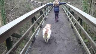 Maddy & Maud zingen op de brug in het Savelsbos - februari 2013