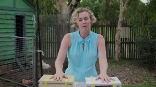 "How to split a native bee hive" Sydney stingless bees | Sydney Stingless Bees