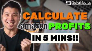 Amazon Payment Transaction Report, Calculate Your Amazon Profits In 5 Minutes