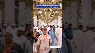 Enjoying #Madinah | City of Lights | #UmrahTrip | Allahumdulliah #madinahalmunawwarah #Umrah #vlogs