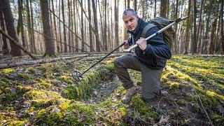 Schätze im Wald suchen