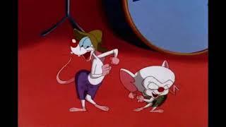 Pinky and the Brain: Braindoggie Mambo