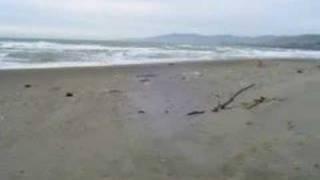 Sonoma County Coast