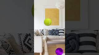 Cat games - Video for Cats #1