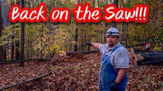 LET’S OPEN UP THE COLLIN’S TRACT; TENNESSEE MULE LOGGING #165