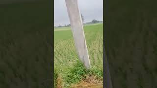 India #viralvideo #Uttar Pradesh#viral #Ambedkar Nagar#viralshort #devendrakumar #viralvideos