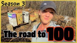 MOJE APIARY ROSTOU! Včelařství 101 #včelařství