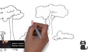 Реклама в интернете  Бесплатная видео реклама в интернете. Создание роликов.