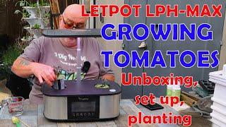 GROWING TOMATOES in the Letpot LPH Max Indoor Hydroponic System