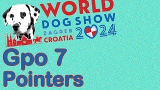 Grupo7 Pointers WDS Zagreb 2024