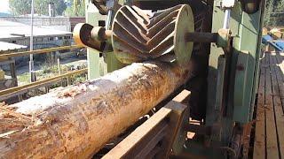 Niesamowite maszyny do obróbki drewna. Całkowicie nowy poziom automatyzacji obróbki drewna