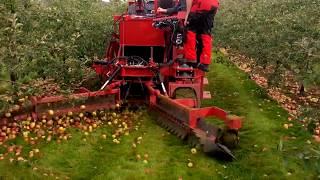 #Cider Apple Harvesting Herefordshire Feucht Obsttechnik OB Future 2