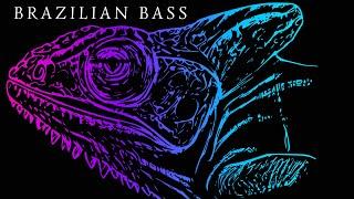 DJ Set 2024 BRAZILIAN BASS MIX Vol. 40