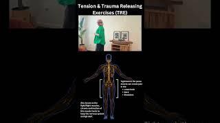 Lower back, neck and shoulder pain do this TRE exercise to release tension