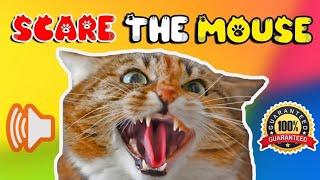 Cat sounds to scare mice away ⭐ Just play & mouse will go away ️ Cat sounds to scare rats