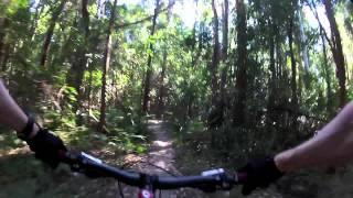 The Graveyard trail at Ourimbah